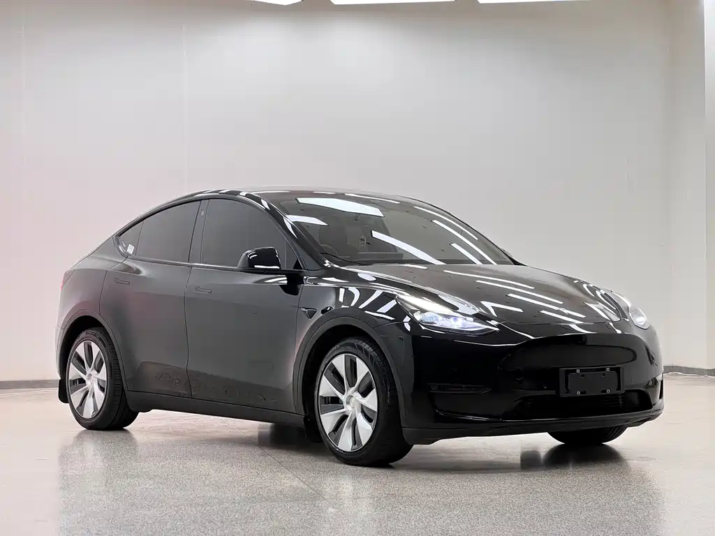 Tesla Model Y — миниатюра 3