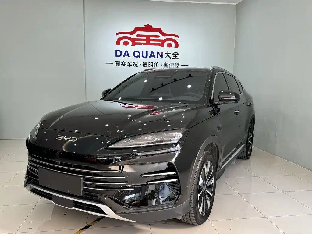 BYD SONGJIANG NEW ENERGY