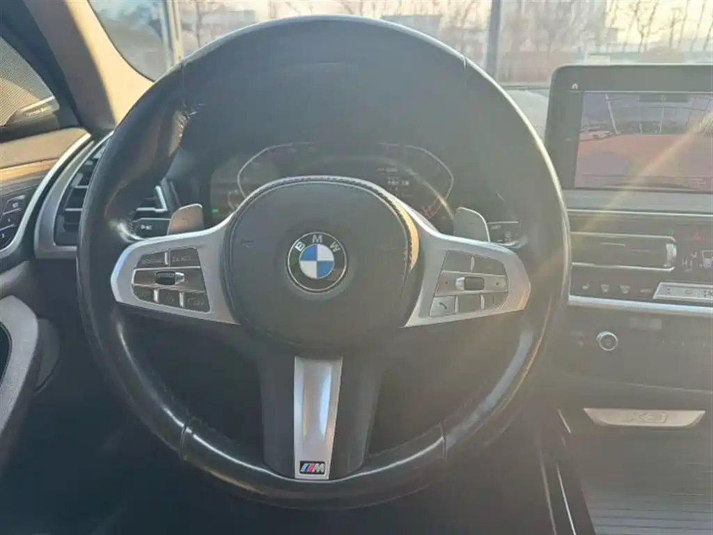 BMW X3 2023 xDrive30i Lead M