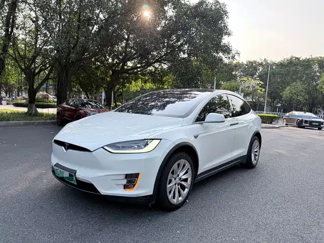 TESLA MODEL X 2019