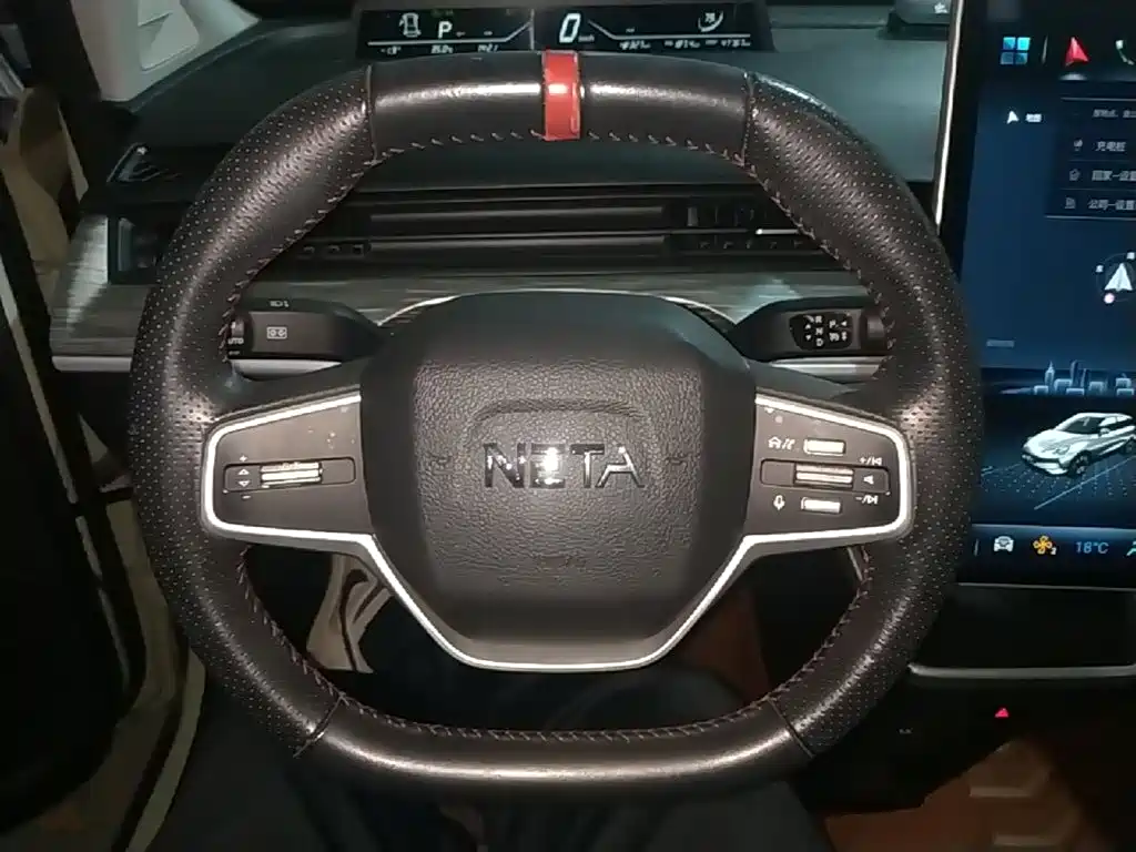 Neta Neta V — миниатюра 11