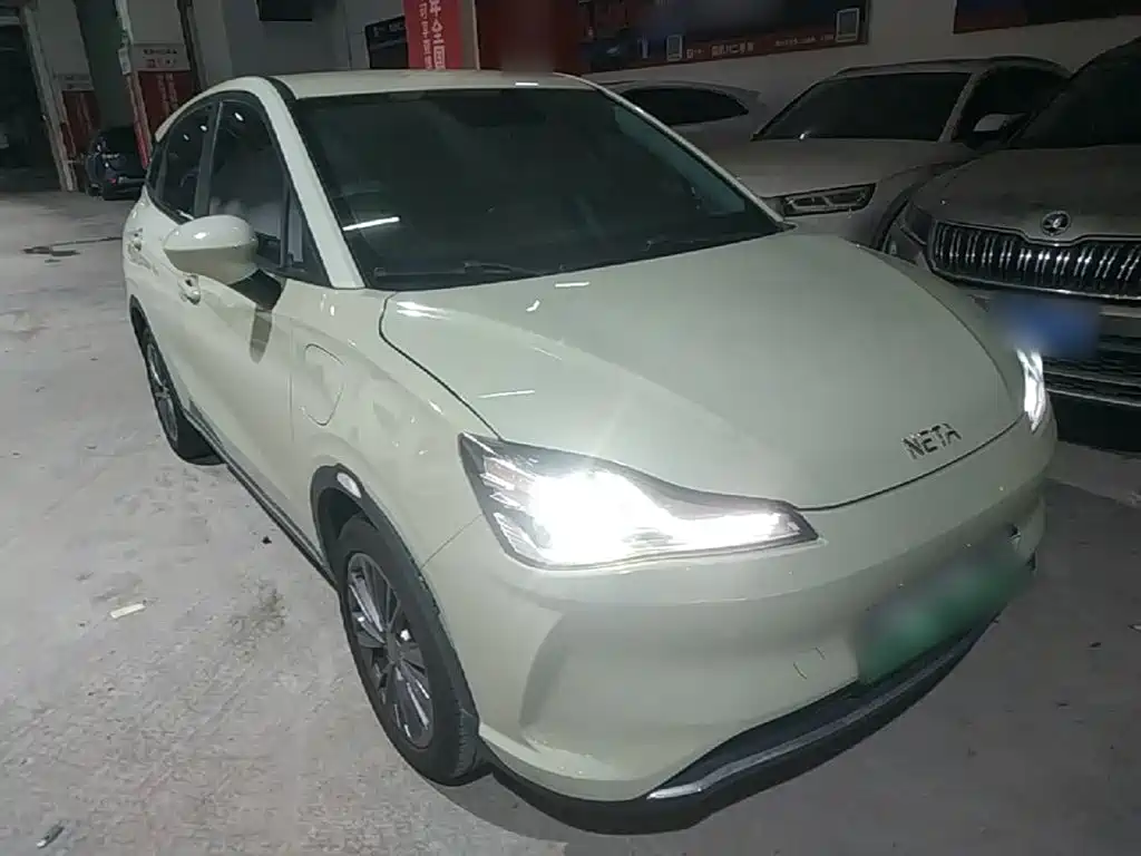 Neta Neta V — миниатюра 4