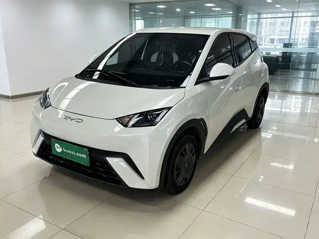 2024 BYD Seagull