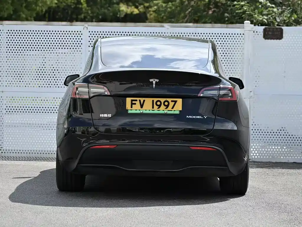Tesla Model Y — миниатюра 11