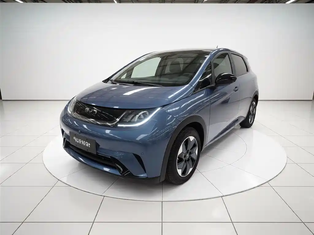 Byd Dolphin 2024