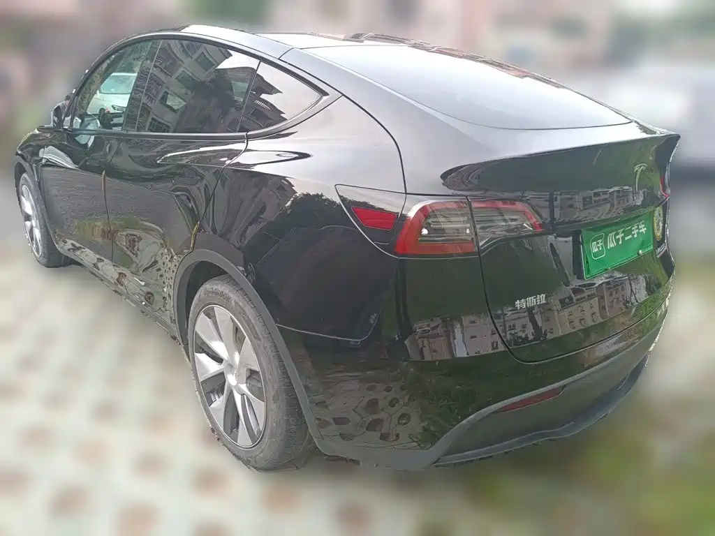 Tesla Model Y — миниатюра 24