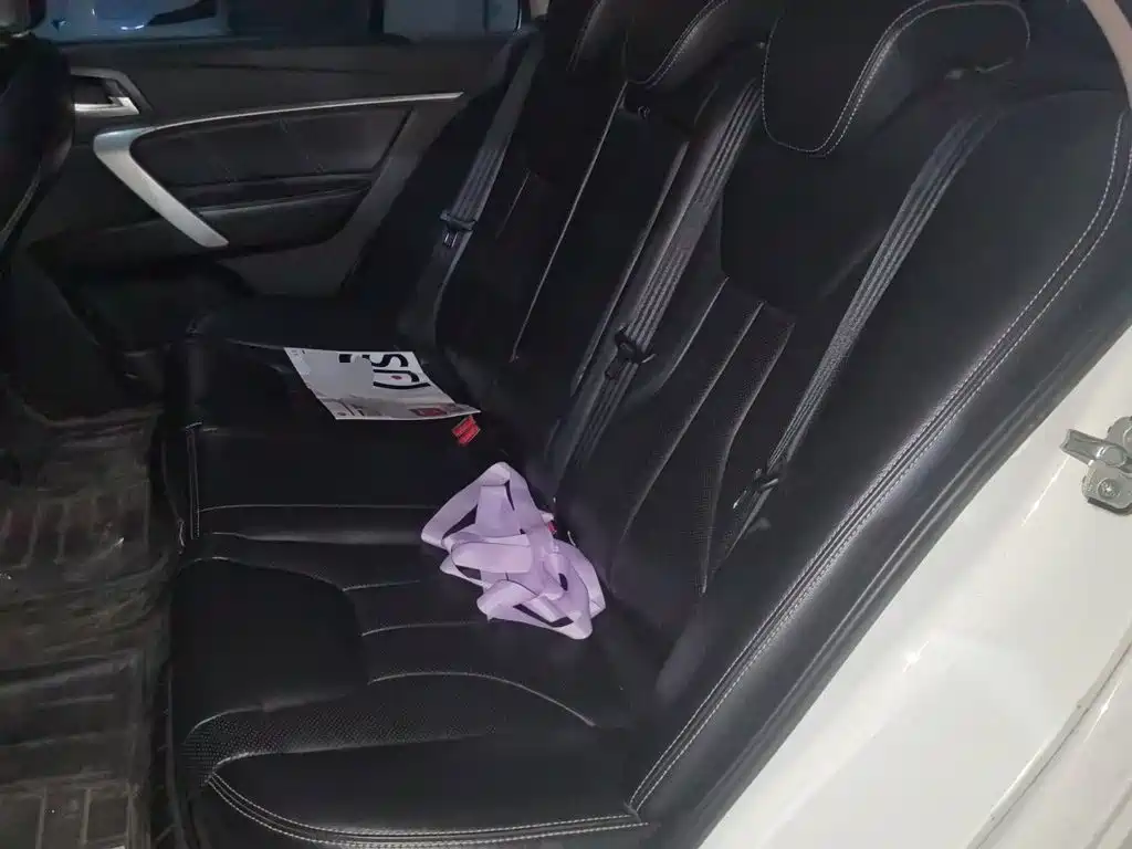 Geely Emgrand — миниатюра 18