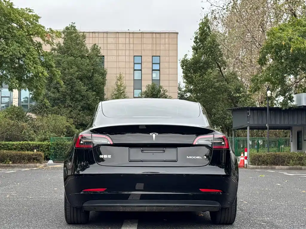 Tesla Model 3 — миниатюра 11