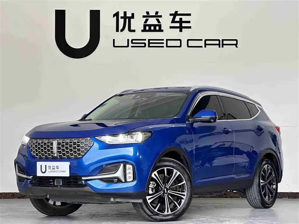 Wey Wey VV6 2020