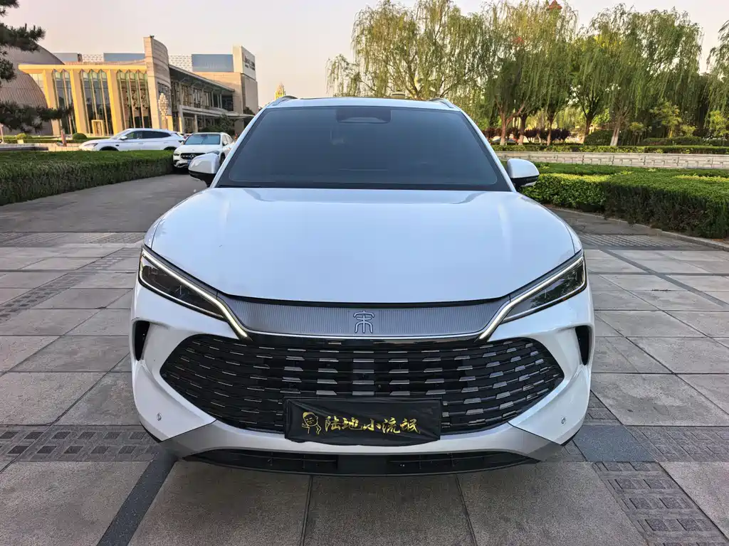 Byd L DM-i 2025