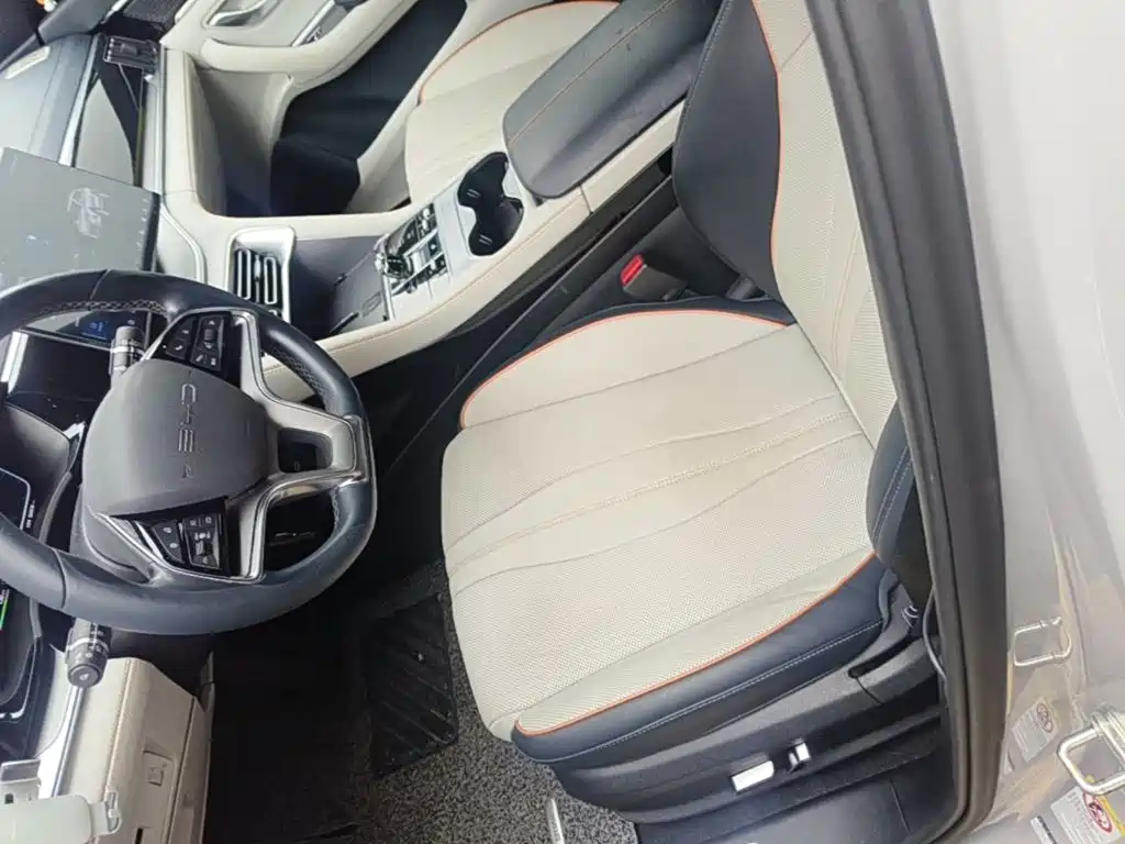 BYD PLUS New Energy — миниатюра 15