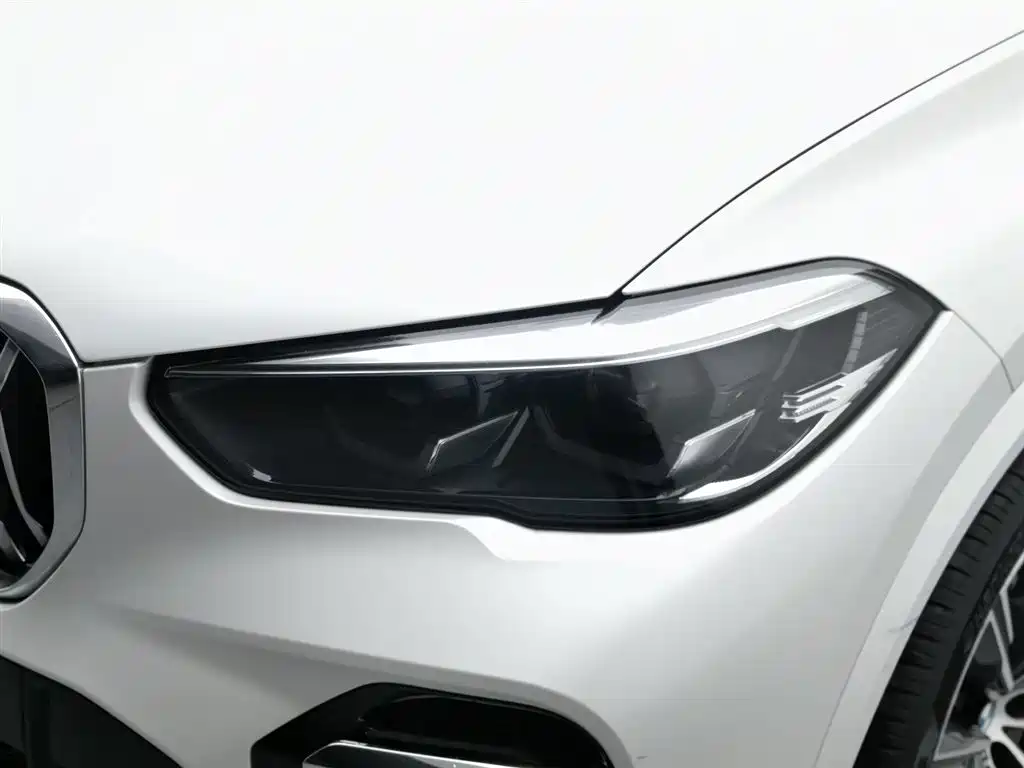 BMW X5 2022 xDrive 30Li M Sport