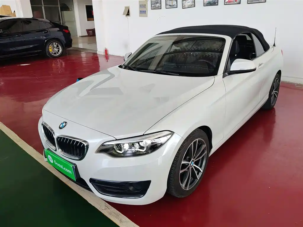 BMW 2 Series (Import) 2019