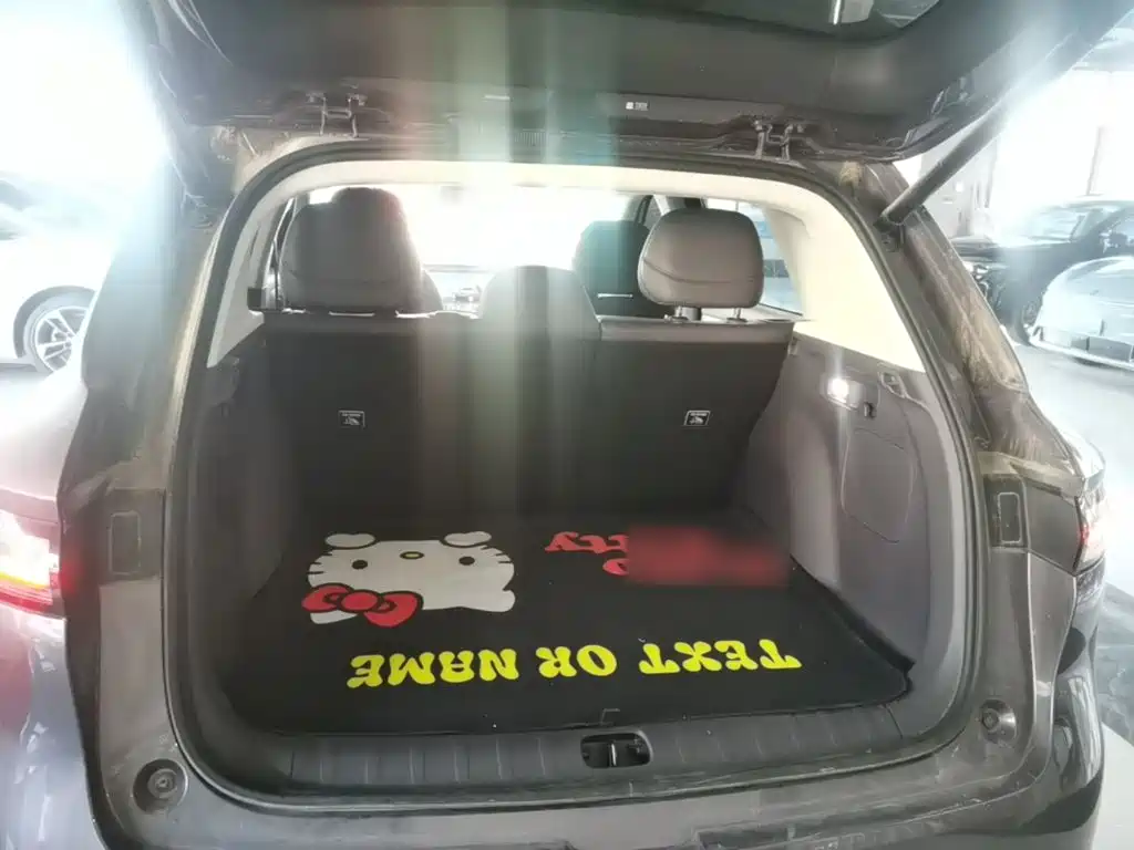 Leapmotor Leapmotor B10 — миниатюра 19