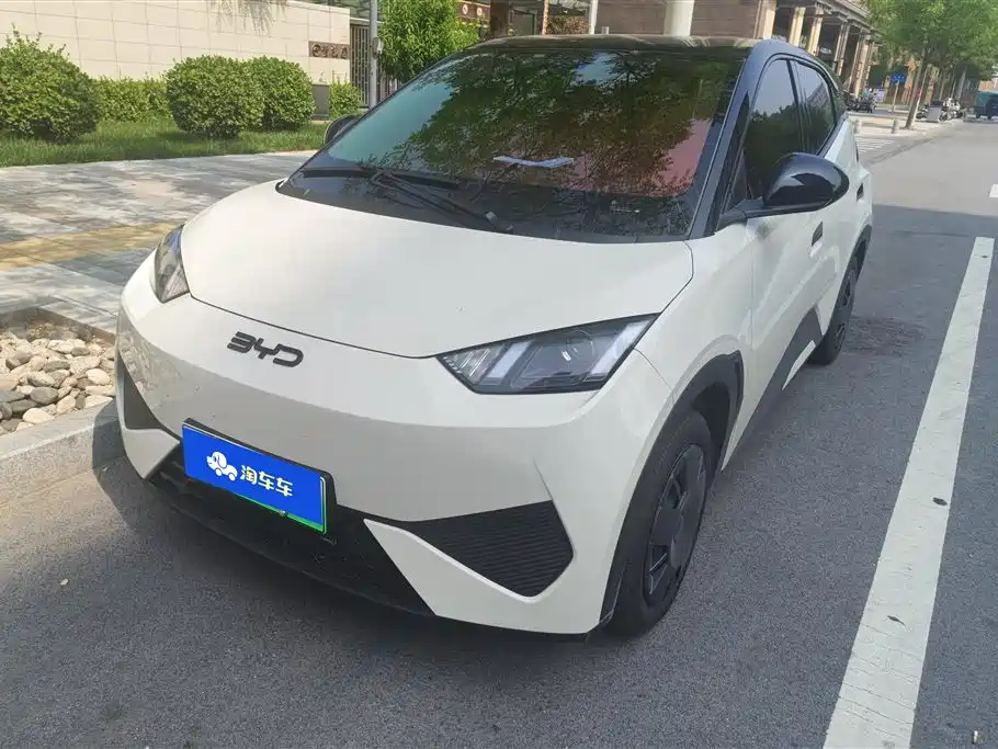 BYD Seagull
