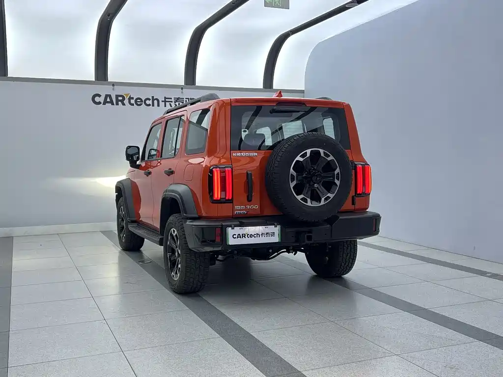 TANK TANK 300 NEW ENERGY