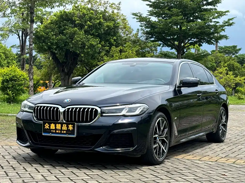 BMW 5 Series 5 2022 530Li Premium M Sport