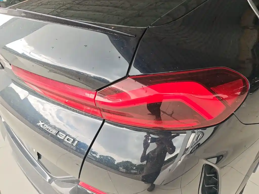 BMW X6 2020 xDrive30i M Sport