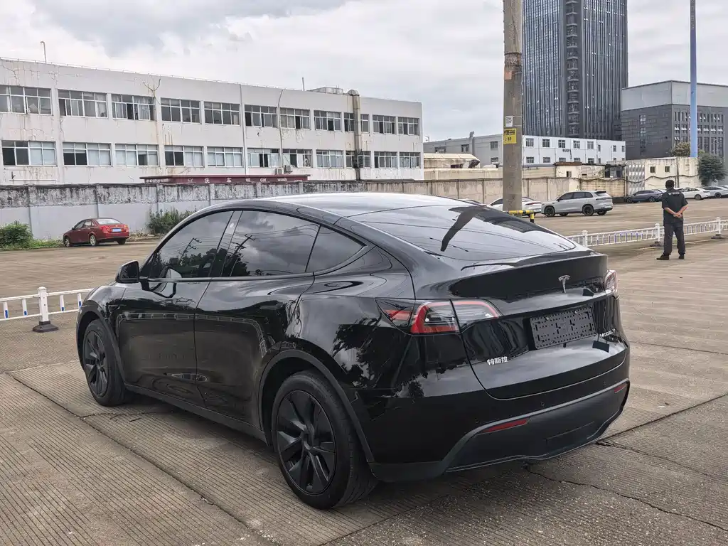 Tesla Model Y — миниатюра 4