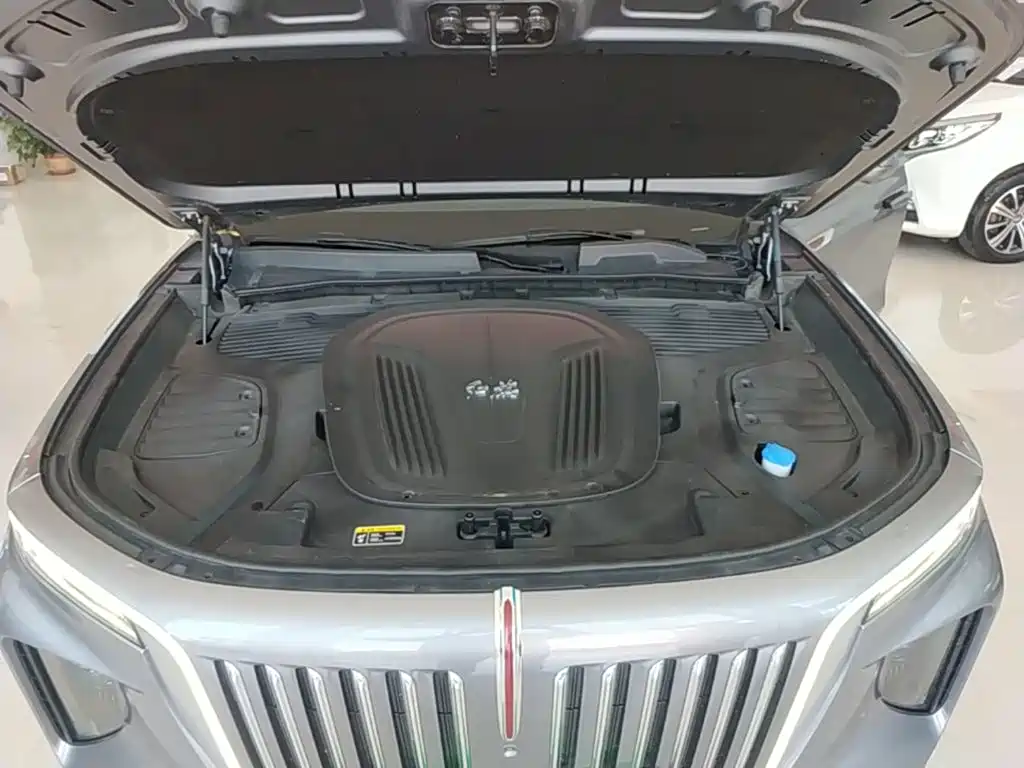 Hongqi Hongqi E-HS9 — миниатюра 20