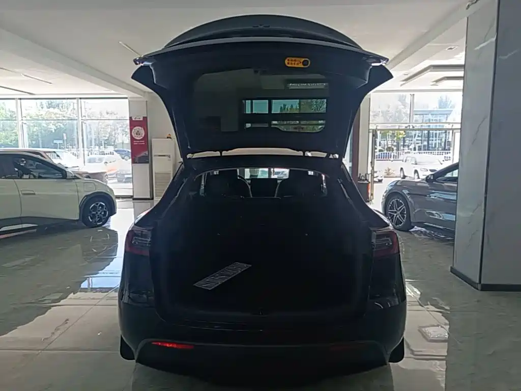 Tesla Model Y — миниатюра 19