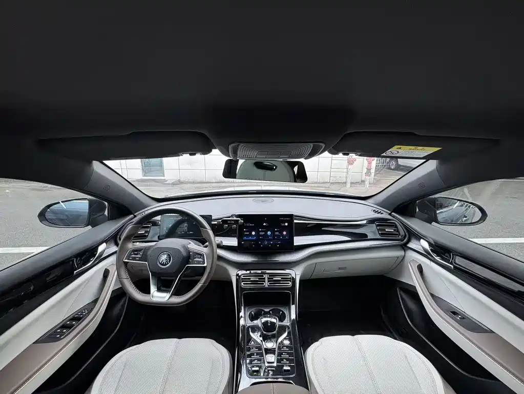 BYD Qin Plus PLUS 2024 EV 510KM Lead