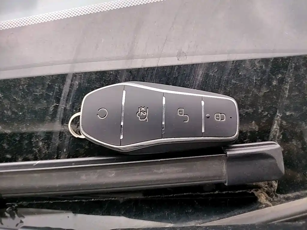 BYD Qin Plus PLUS 2024 DM-i 55KM Lead