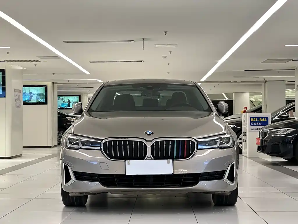 BMW 5 Series 5 2021 530Li Lead Luxury
