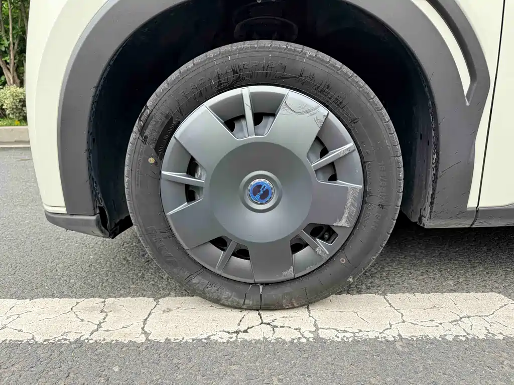 BYD Seagull 2024 305km