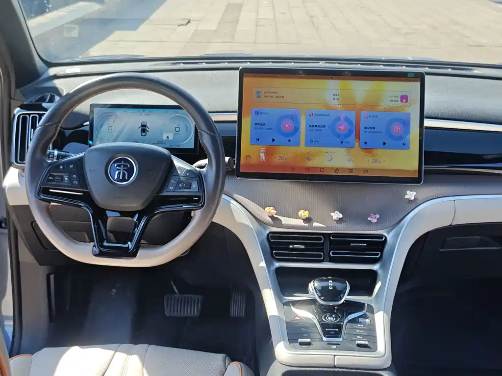 BYD Pro New Energy — миниатюра 5
