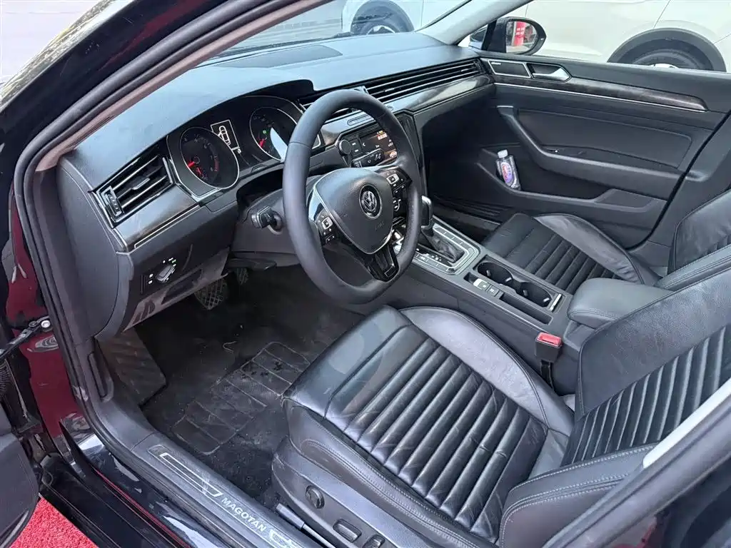 Volkswagen Magotan 2019 330TSI DSG Luxury V