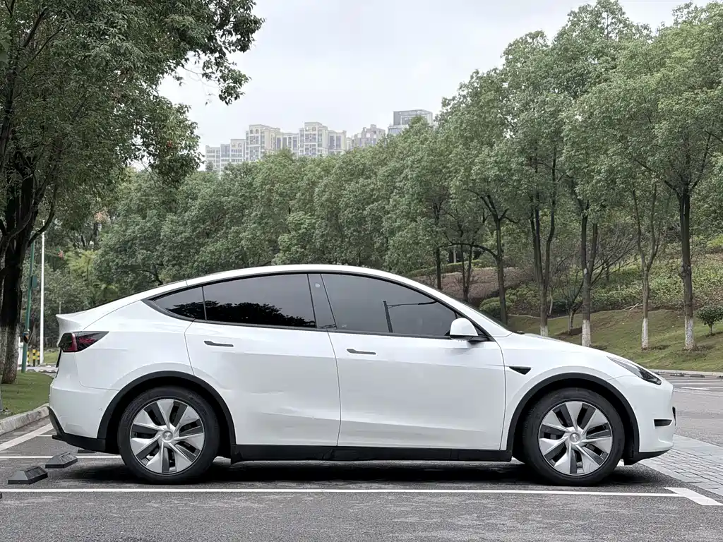 Tesla Model Y — миниатюра 5