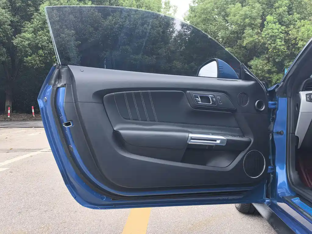 Ford Mustang — миниатюра 7