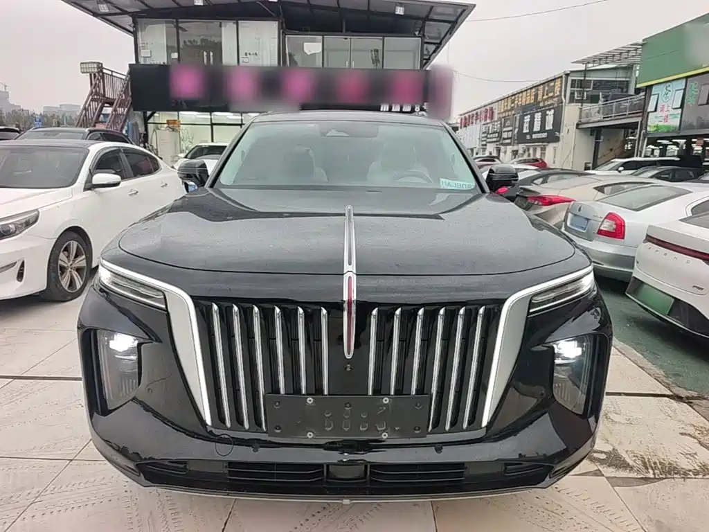 Hongqi Hongqi E-HS9 — миниатюра 3