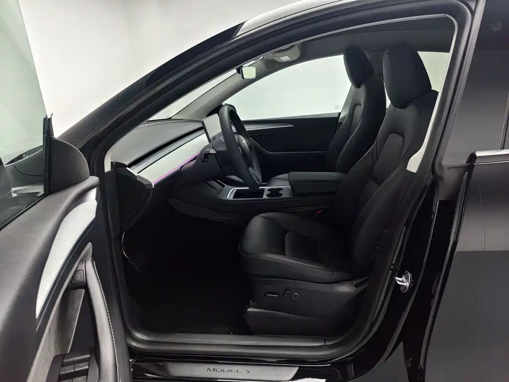Tesla Model Y — миниатюра 3