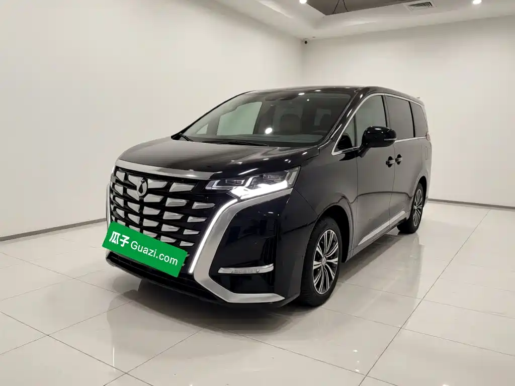 Denza Denza D9