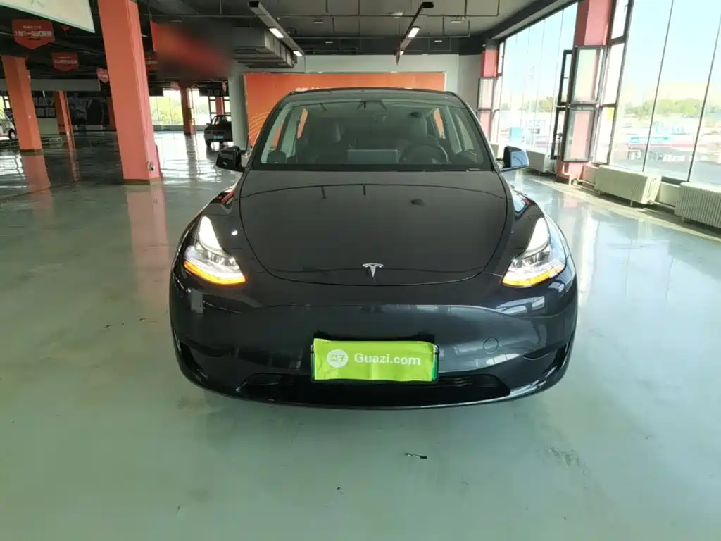 Tesla Model Y — миниатюра 3