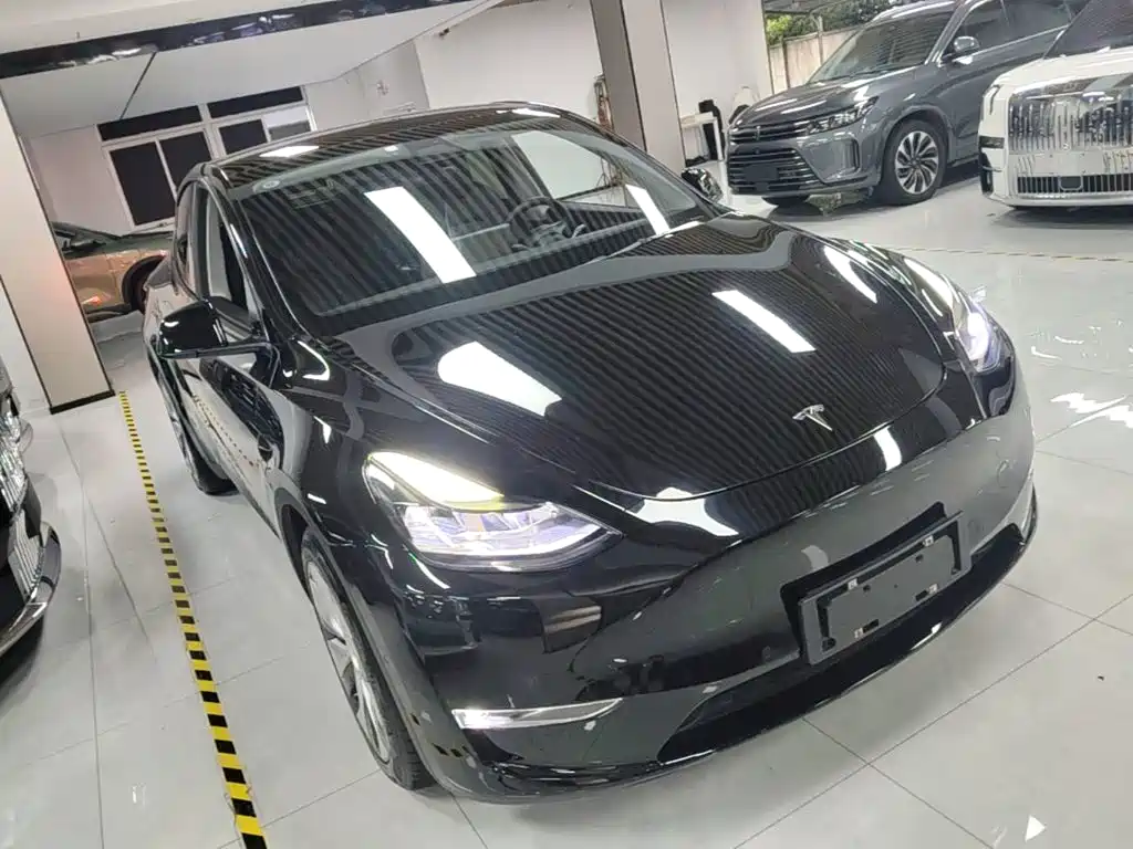 Tesla Model Y — миниатюра 4