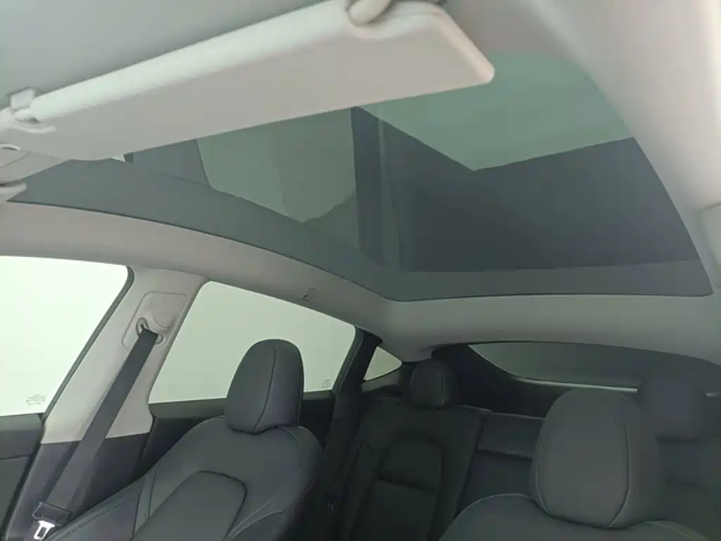 Tesla Model Y — миниатюра 9