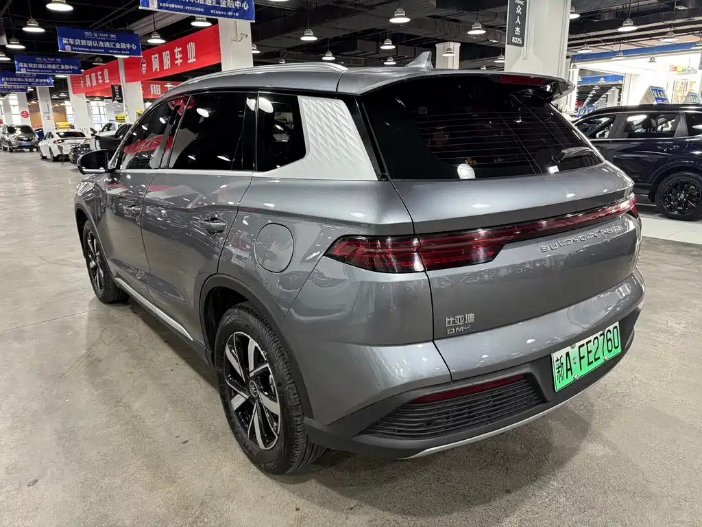 BYD Pro New Energy - фото 6
