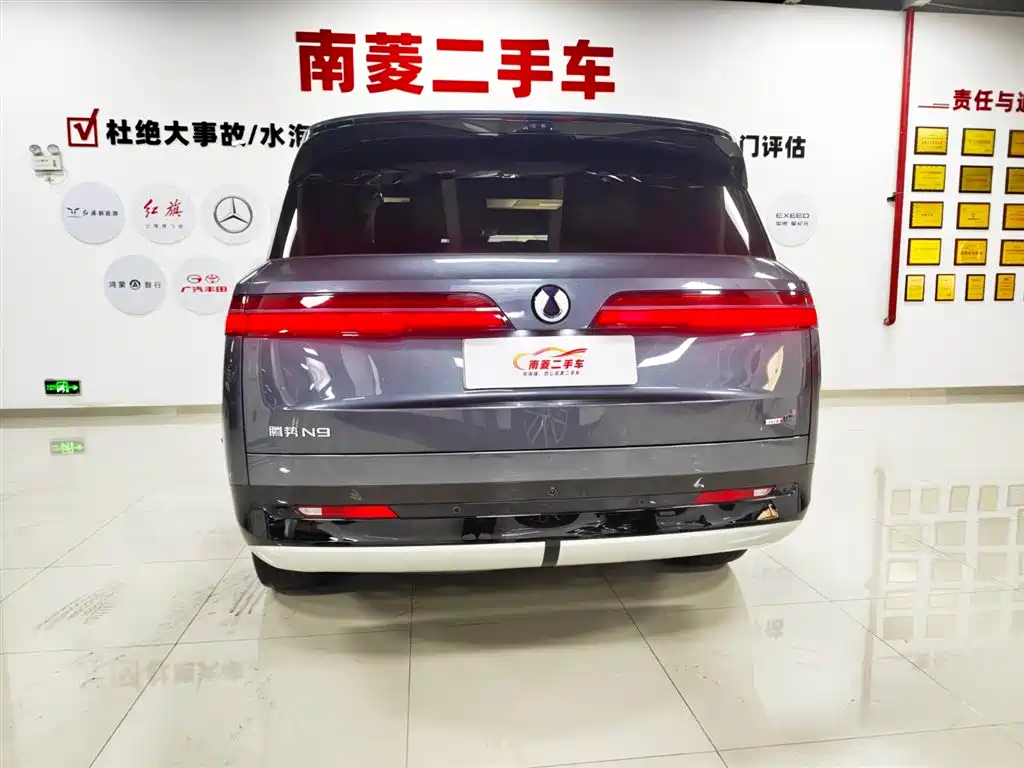 Denza N9 2025 Flagship