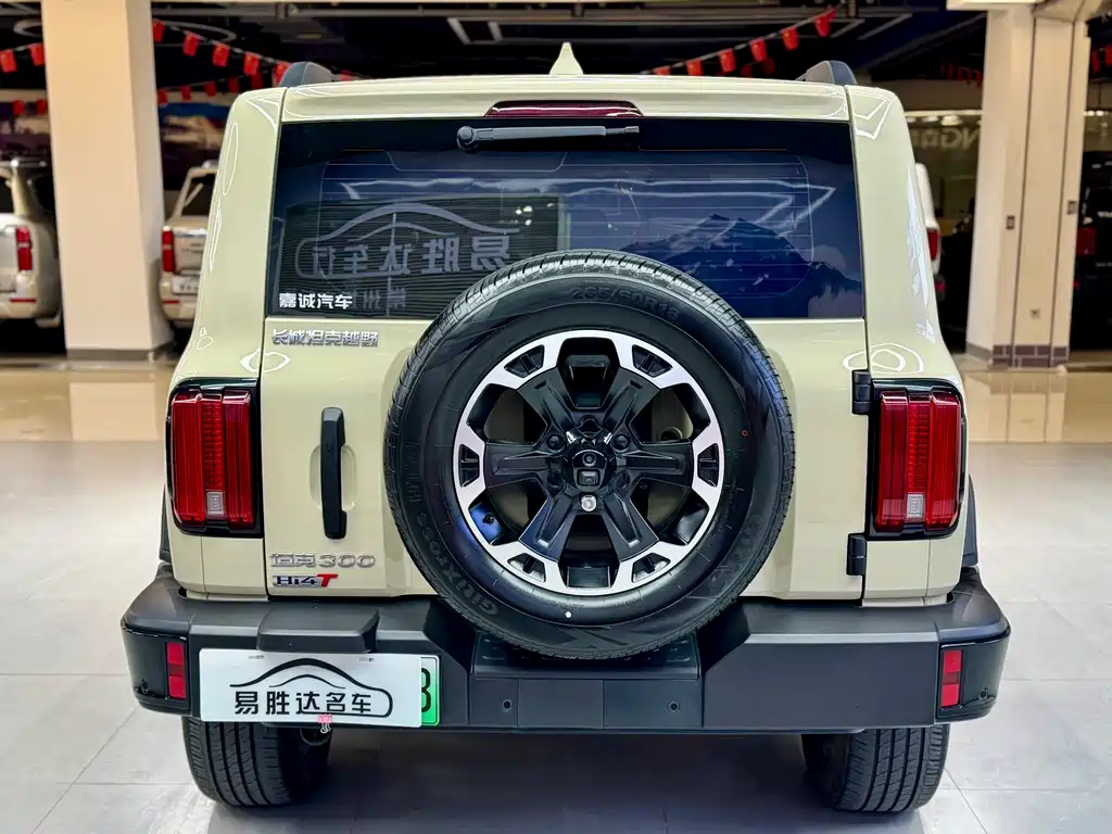 TANK TANK 300 NEW ENERGY