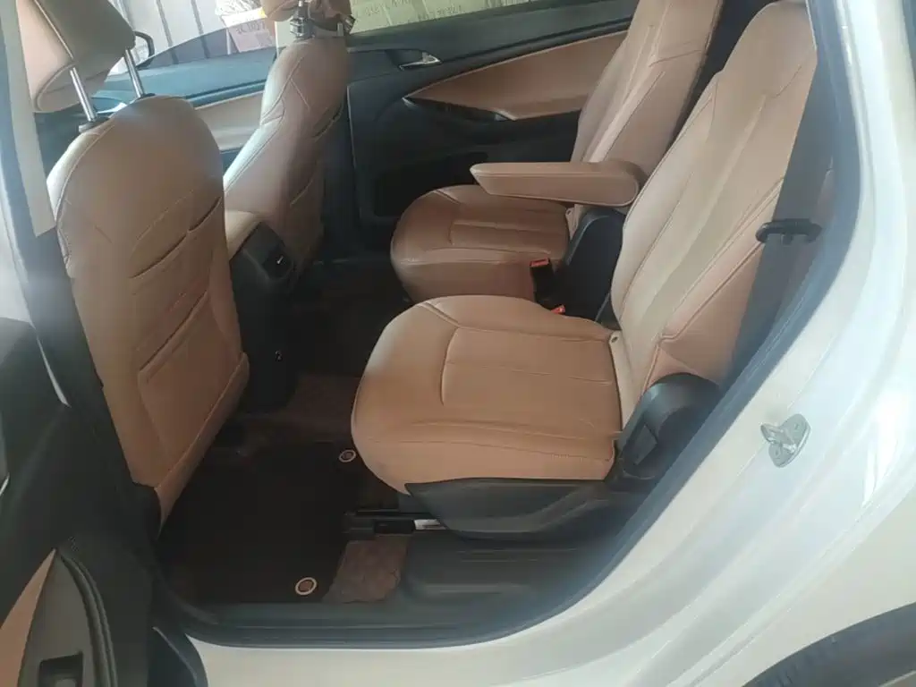 Buick GL6 — миниатюра 17