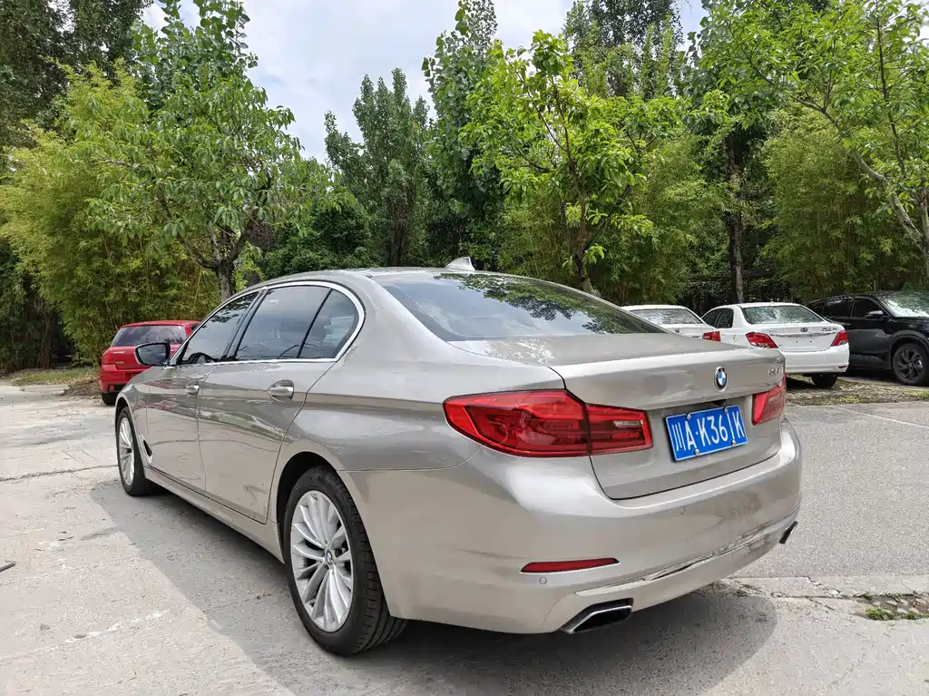 BMW 5 Series 5 2019 530Li Lead Luxury