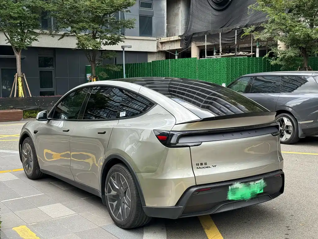 Tesla Model Y L — миниатюра 4