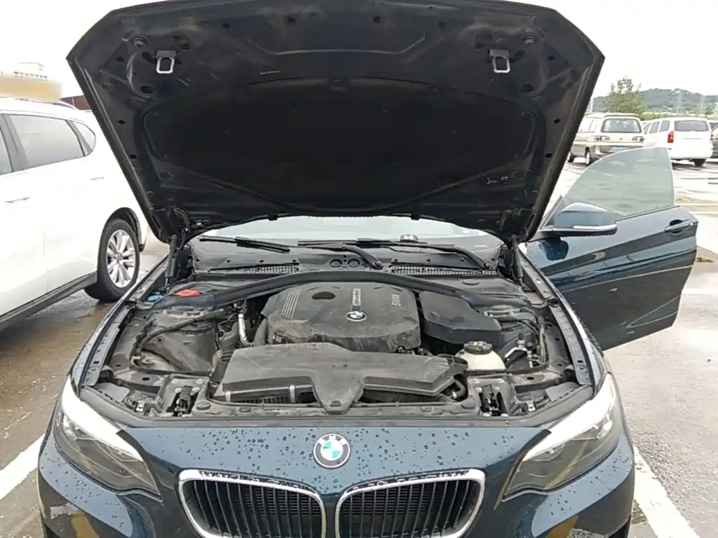 BMW 2 Series (Import) — миниатюра 20