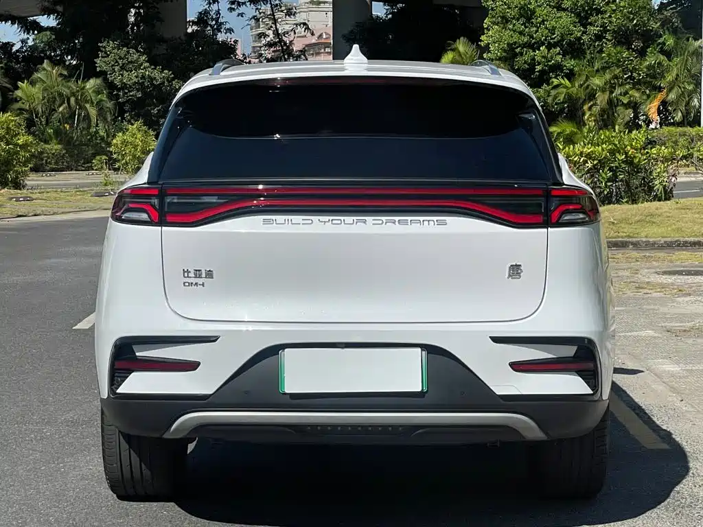 BYD Tang PHEV 2023 — фото 22