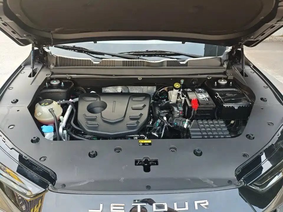Jetour Dasheng 1.5T DCT Luxury Edition, фото 8