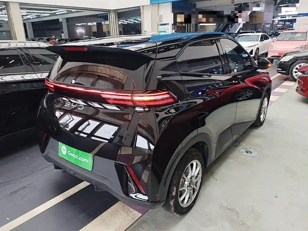 BYD Seagull 2024 305km