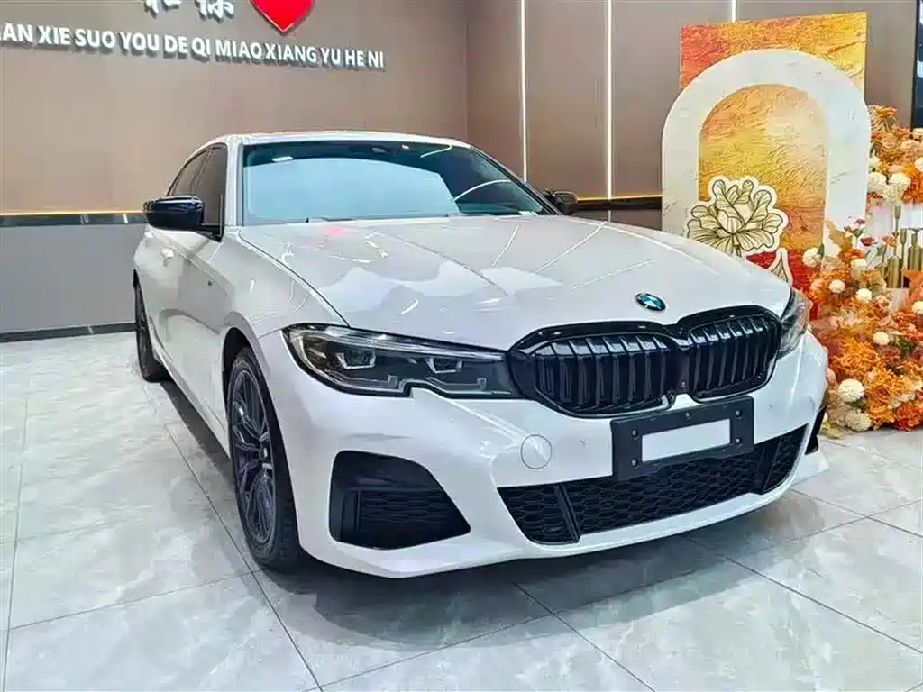 BMW 3 Series 3 2020 325Li